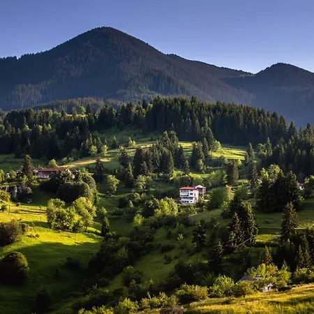 Panorama Gasthof