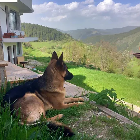 Гостевой дом Panorama Гела