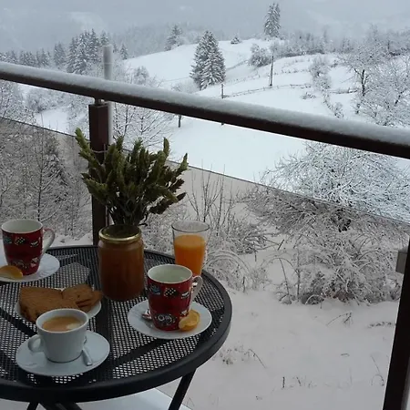 Panorama Guest house 2*
