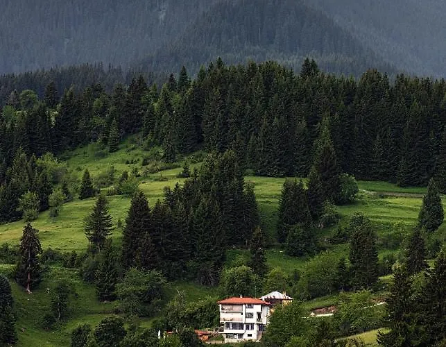 Maison d'hôtes Panorama Gela