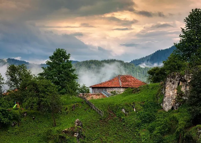 Maison d'hôtes Panorama Gela